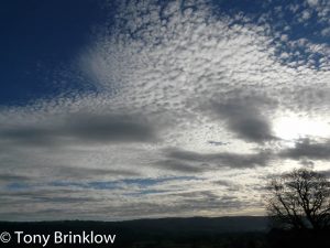 Mackerel Sky - I