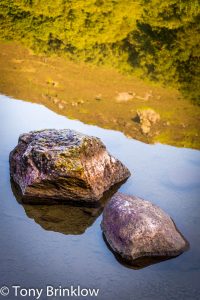 Llyn Crafnant, Snowdonia - V
