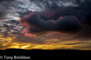 A Tinge of Red