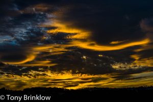 Golden Sunrise