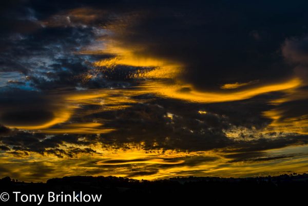 Golden Sunrise
