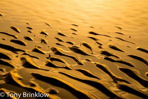 Golden Ripples
