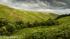 Scar in the Landscape