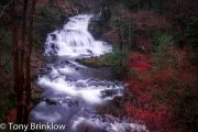 Fairy Falls, Snowdonia - IV