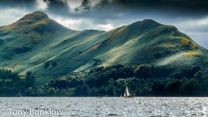 Mottled Cat Bells, Lake District - II