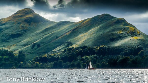 Mottled Cat Bells, Lake District - II