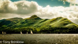 Mottled Cat Bells, Lake District - I