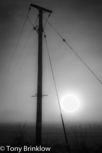 Telegraph Pole