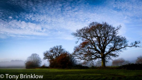 Mackerel Sky - III