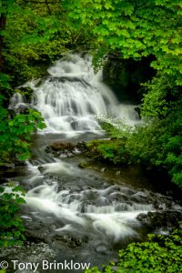 Fairy Falls, Snowdonia - III