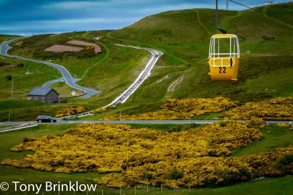 Camouflage, Great Orme, Snowdonia