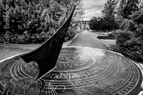DSC_5228_thm