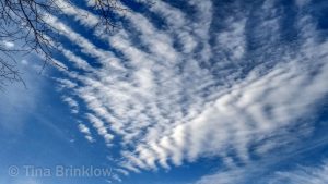 IMG_20170309_161601229_HDR-thm