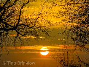 IMG_9861-thm