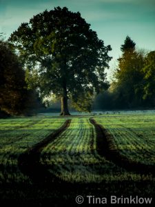 IMG_2361-thm